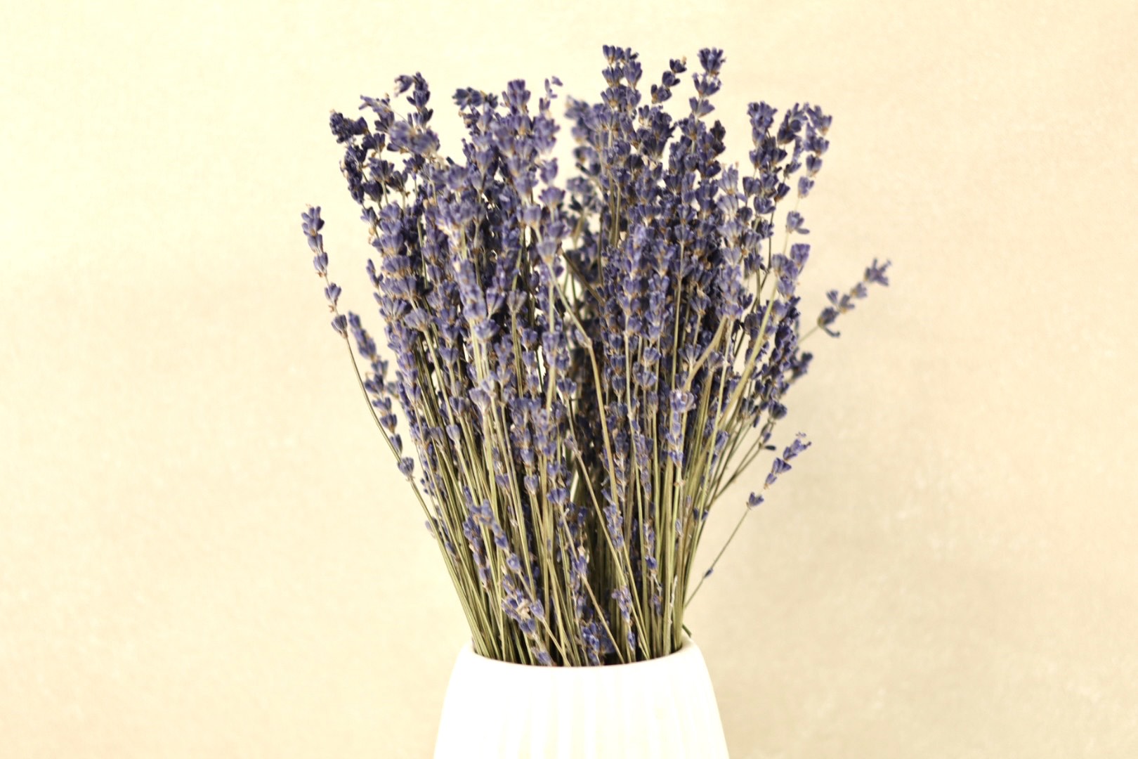 Dried Lavender Bunch