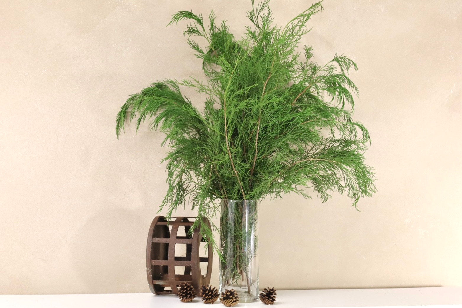 Green Cedar