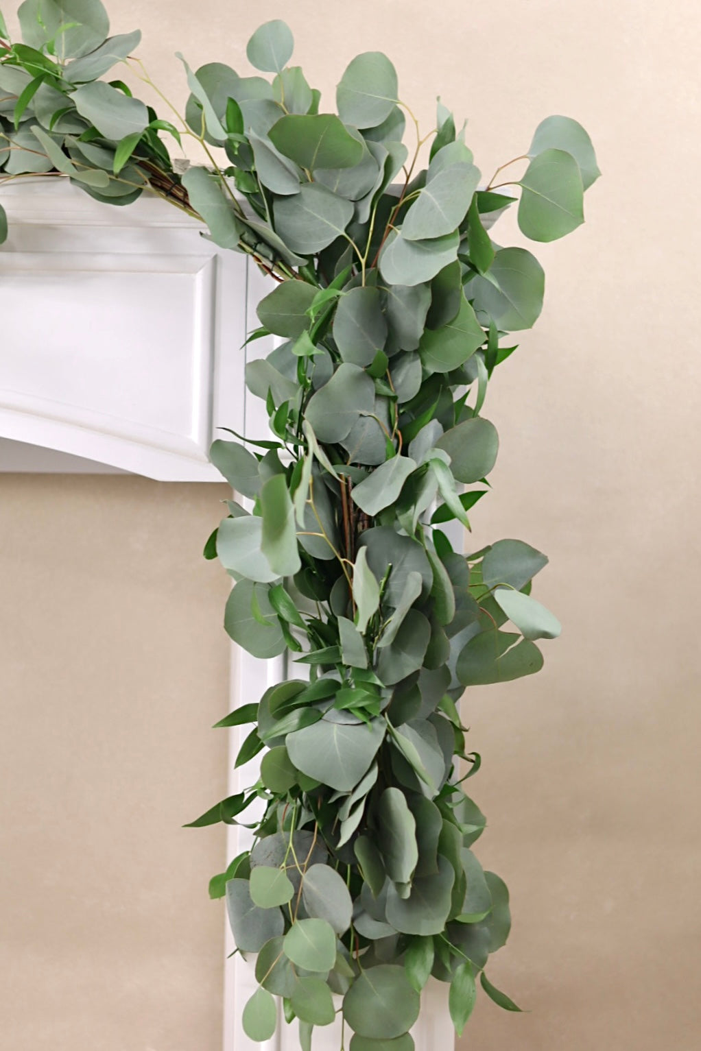 Silver Dollar and Italian Ruscus Garland