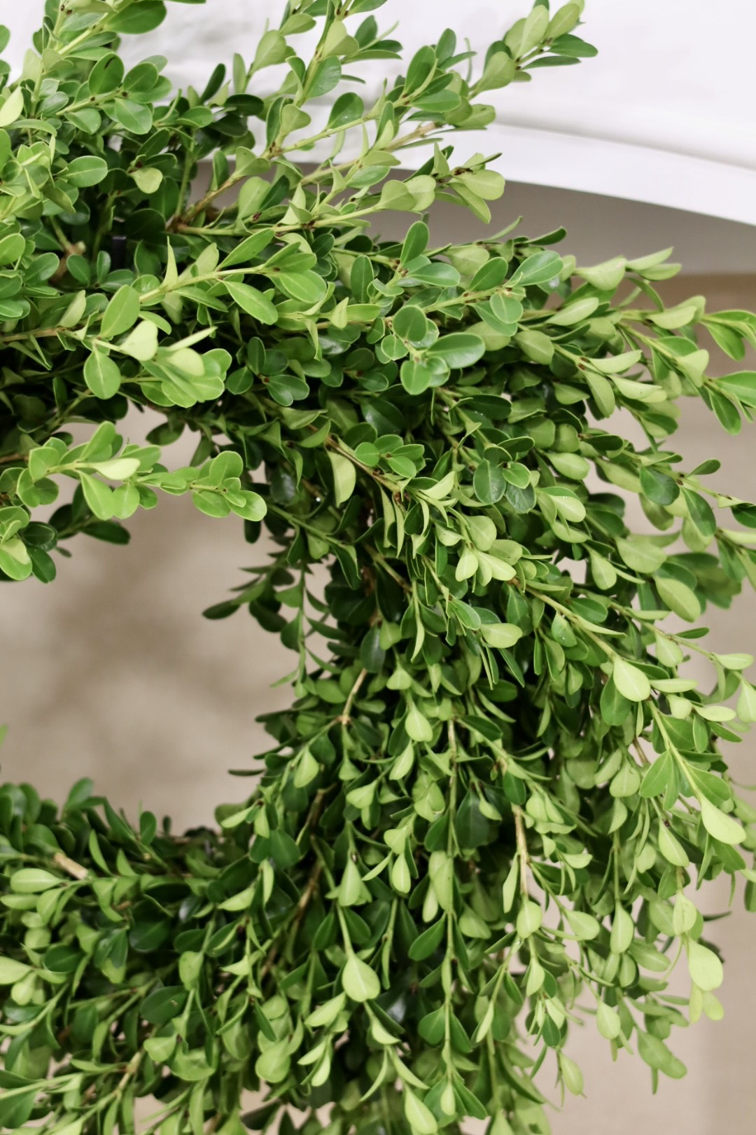 Boxwood Wreath