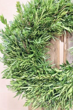 Myrtle and Podocarpus Maci Wreath