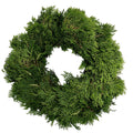 Arborvitae Wreath