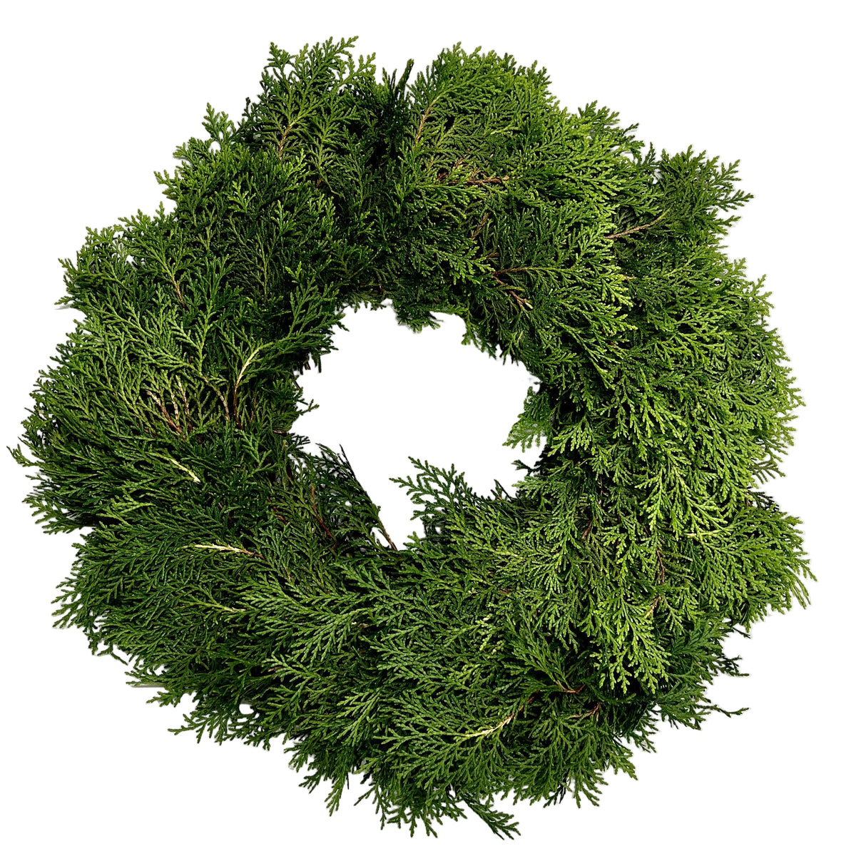 Arborvitae Wreath