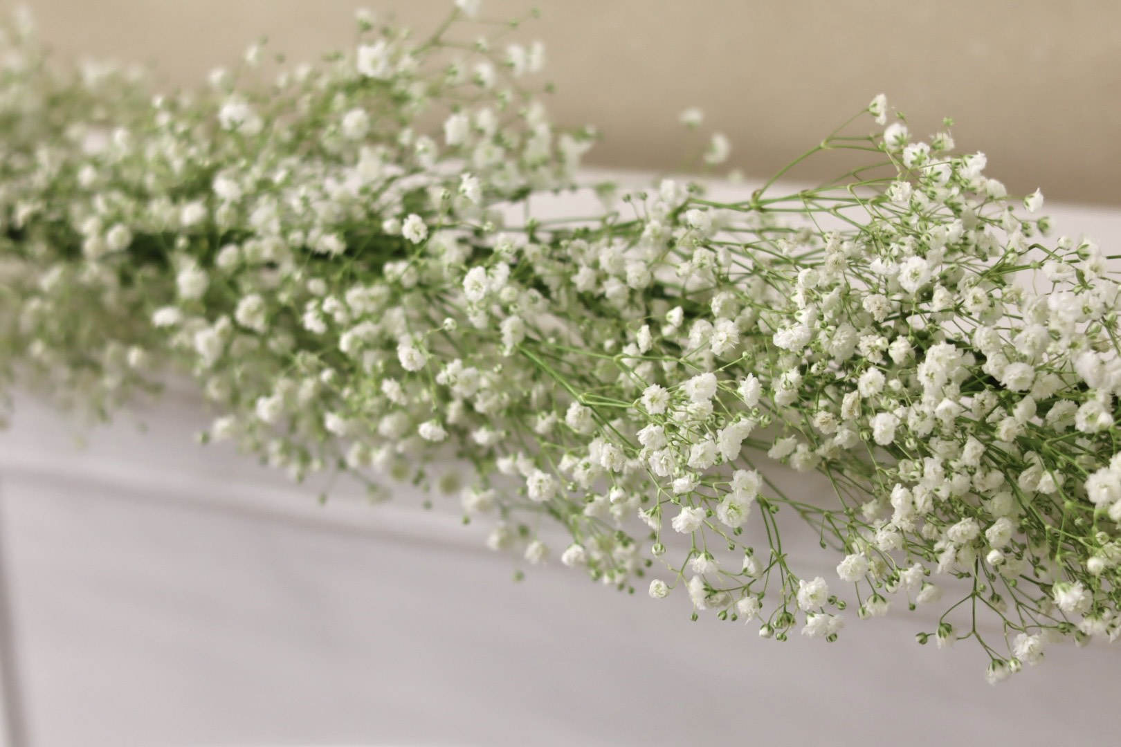 Gypsophila Babies Breath Garland