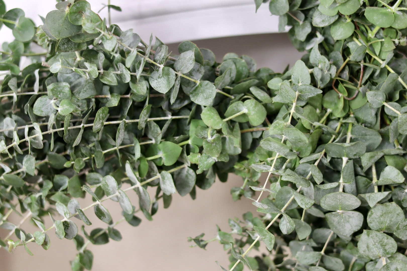 Baby Blue Eucalyptus Cross Wreath