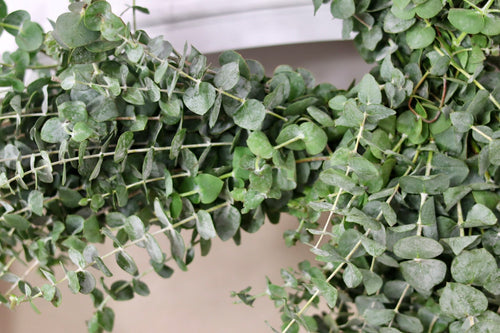 Baby Blue Eucalyptus Cross Wreath