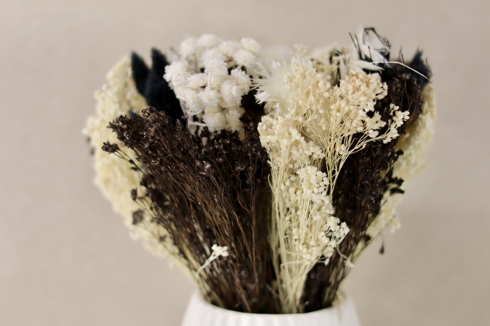 Black and White n31 Dried Bouquet