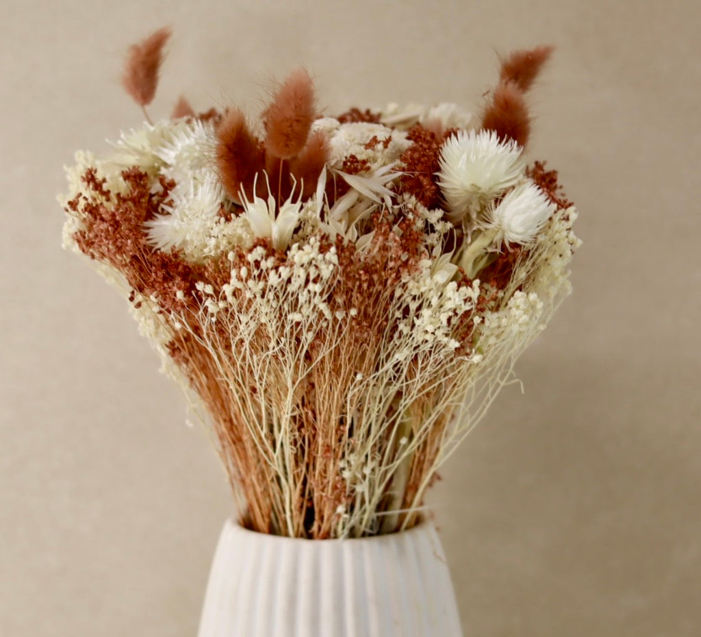 Bleached Moka Mousse n36 Dried Bouquet