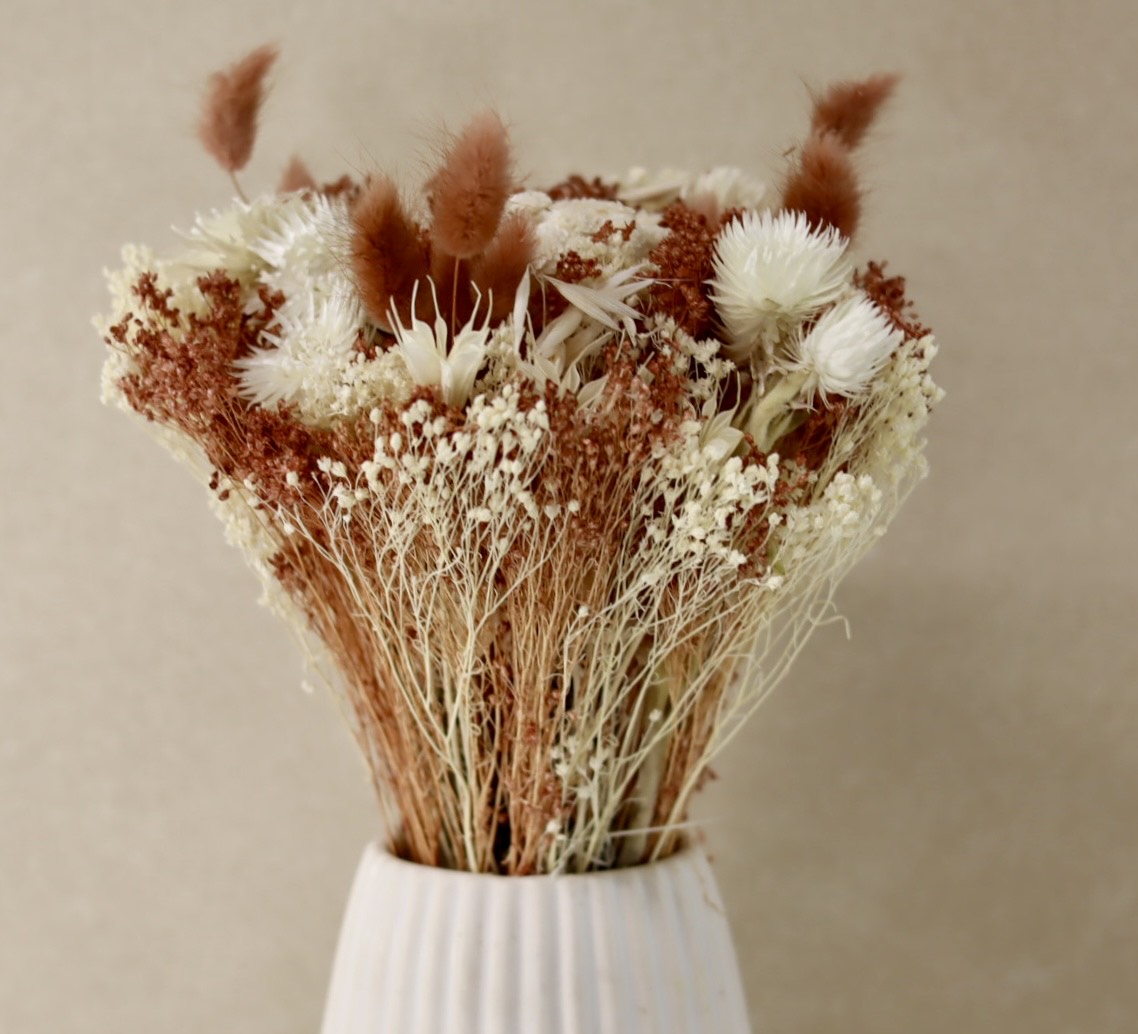 Bleached Moka Mousse n36 Dried Bouquet