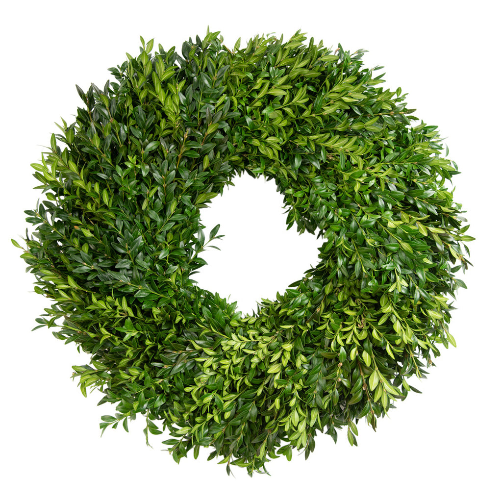 Boxwood Wreath