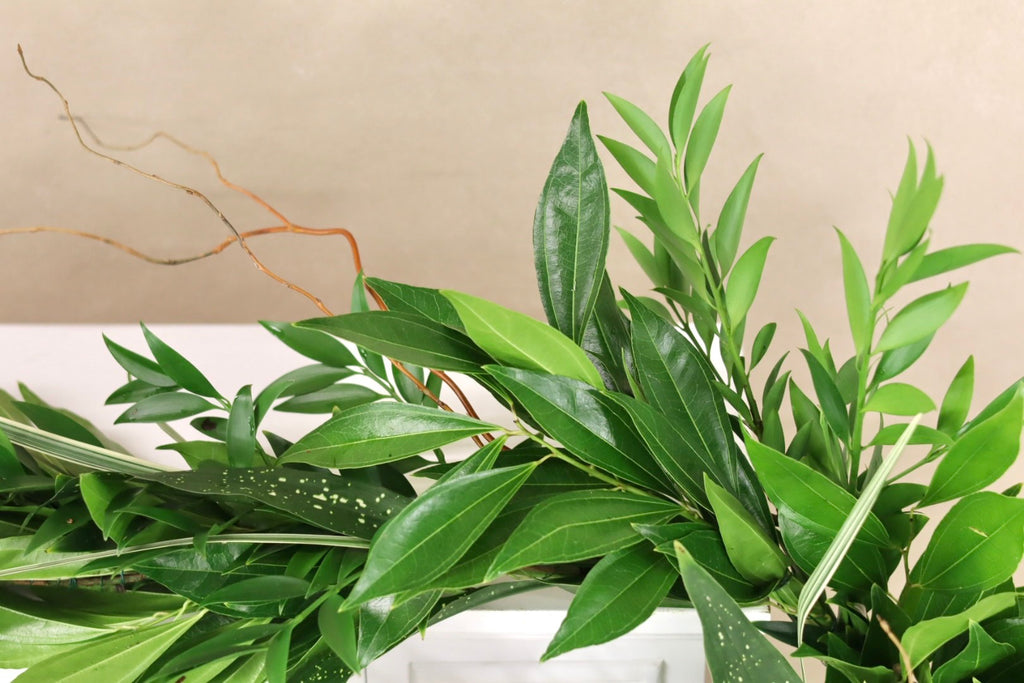 Cocculus Curly Willow Milkyway Nagi & Variegated Lilly Grass Garland