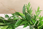 Cocculus Curly Willow Milkyway Nagi & Variegated Lilly Grass Garland