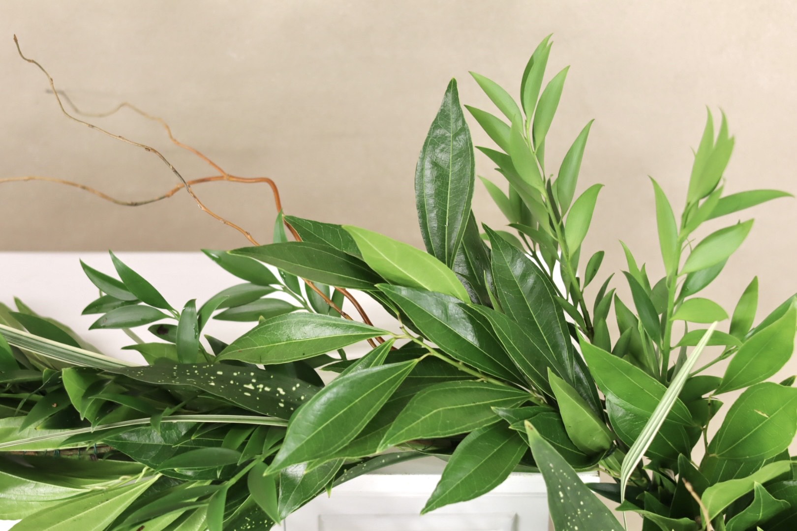 Cocculus Curly Willow Milkyway Nagi & Variegated Lilly Grass Garland