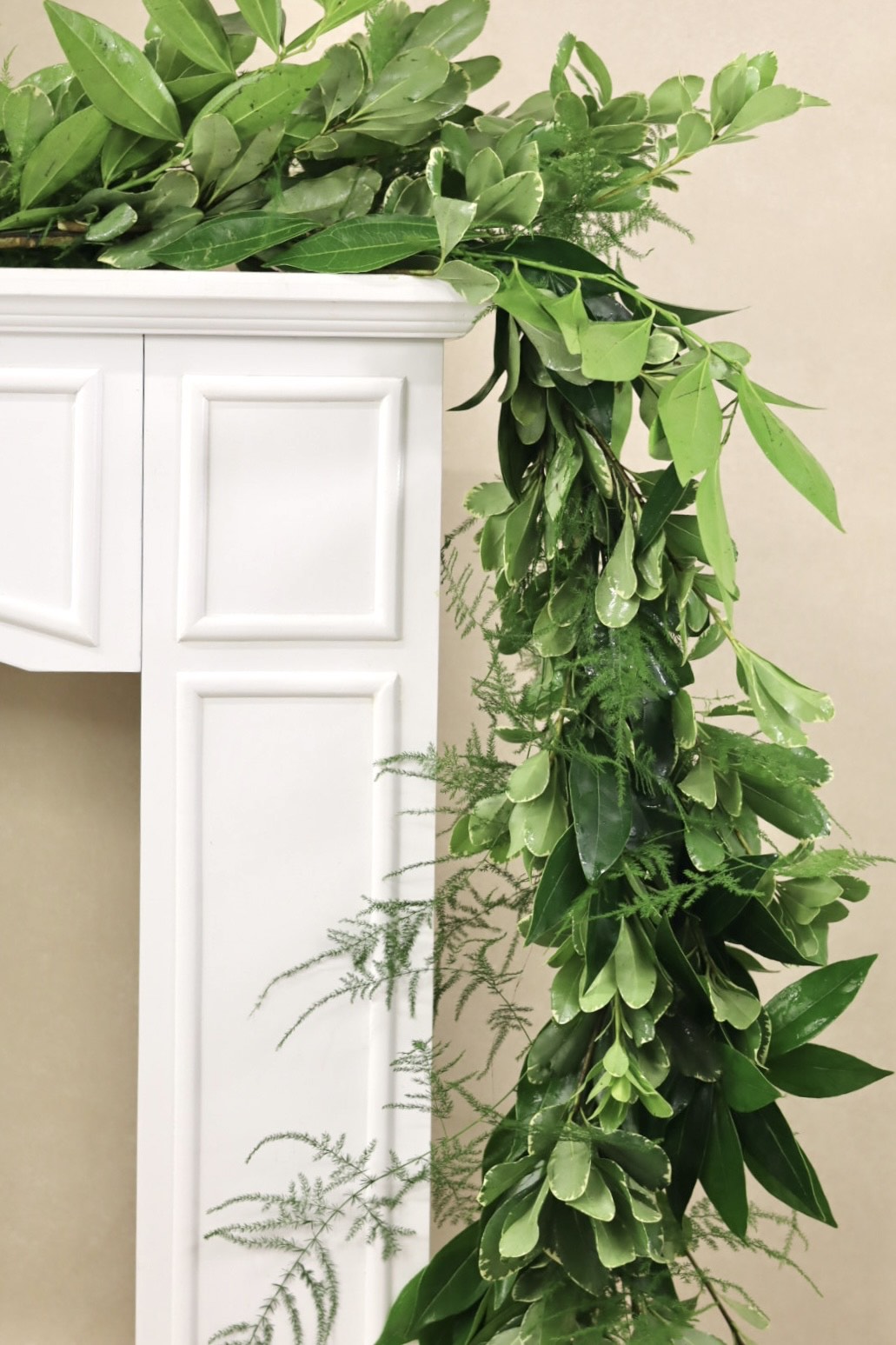 Cocculus Plumosus Variegated Pittosporum Garland