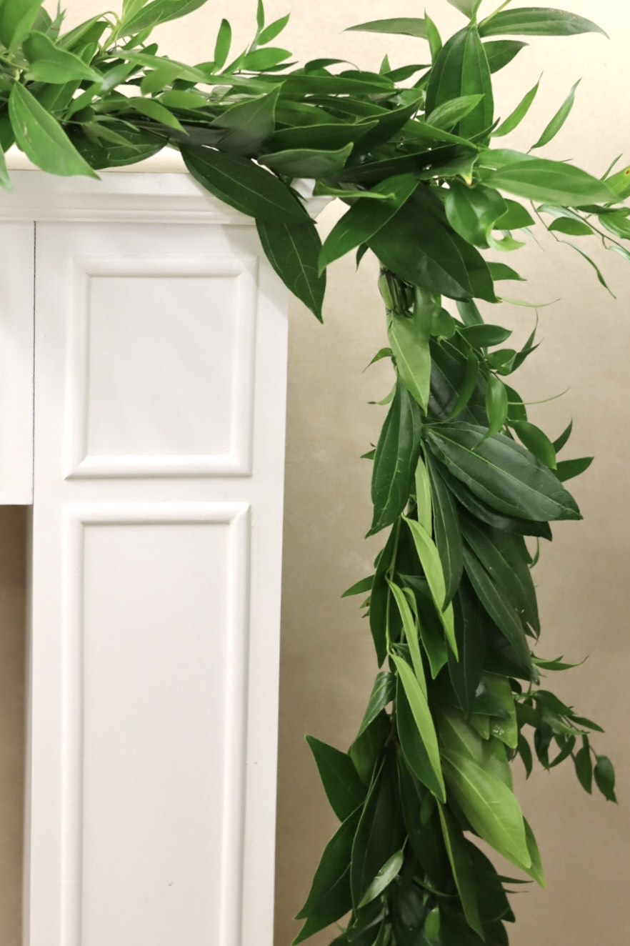 Cocculus and Italian Ruscus  Garland