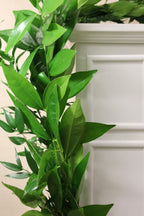 Cocculus and Italian Ruscus  Garland