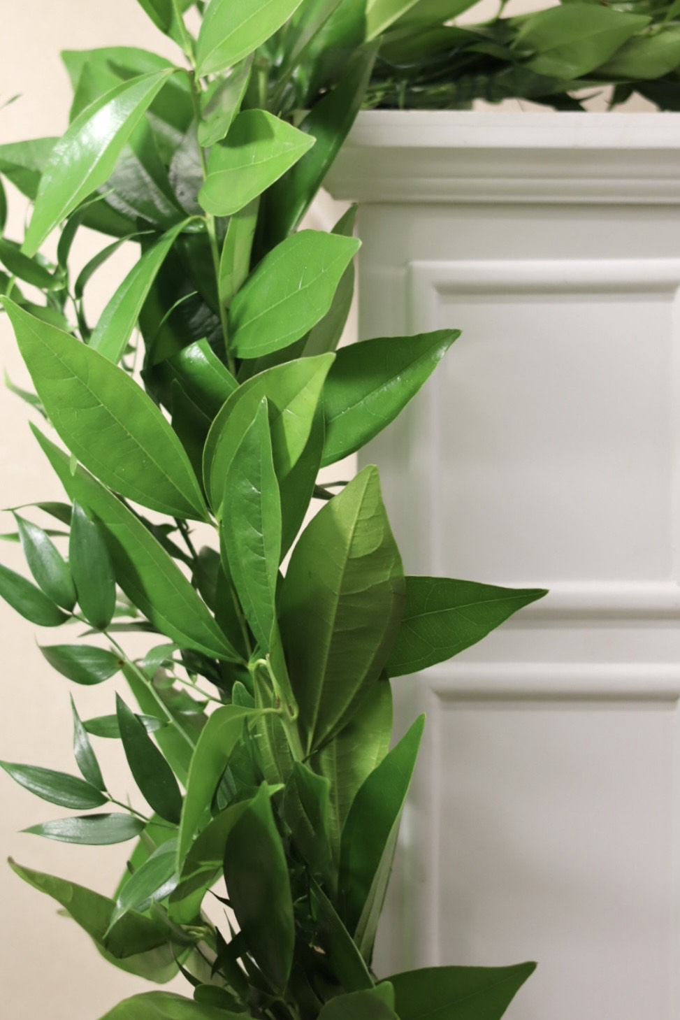 Cocculus and Italian Ruscus  Garland