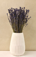 Dried Lavender Bunch