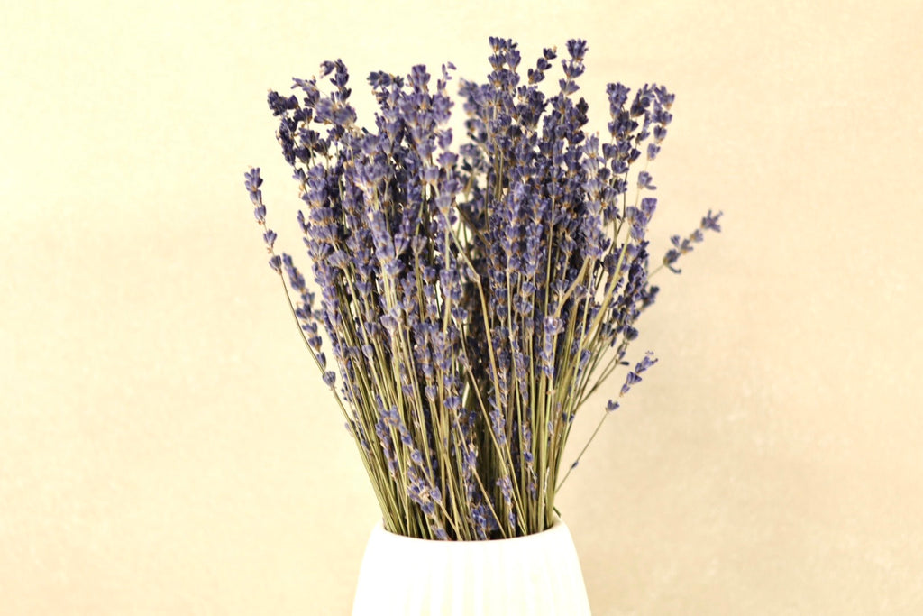 Dried Lavender Bunch