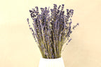 Dried Lavender Bunch