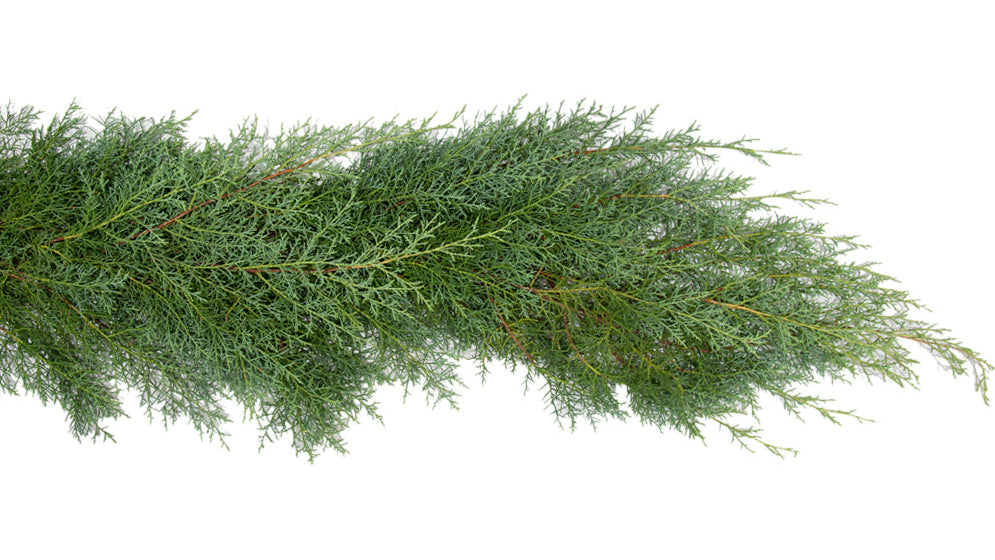 Carolina Sapphire Garland