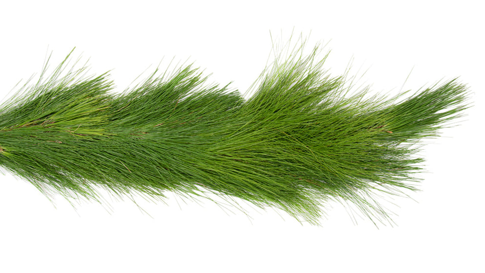 Long Needle Pine Garland