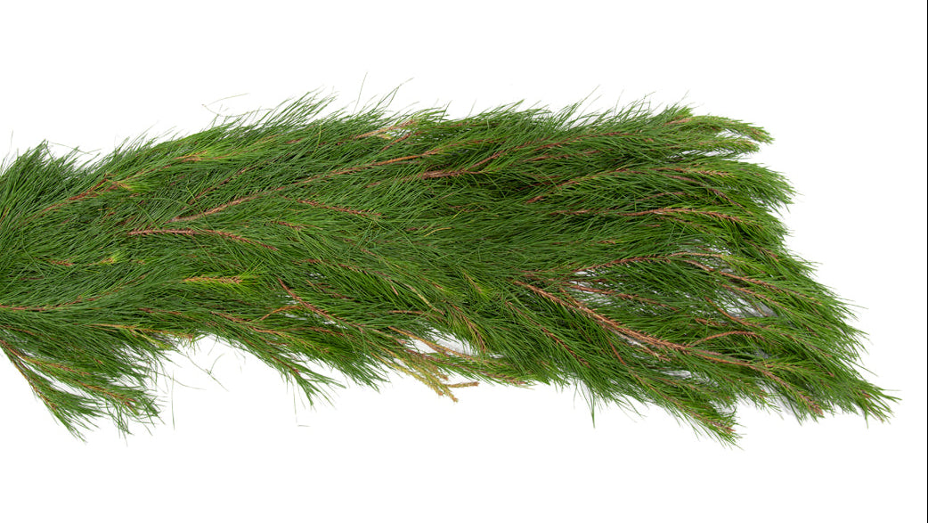 Short Needle Pine Christmas Garland