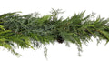 Snow Angels Garland