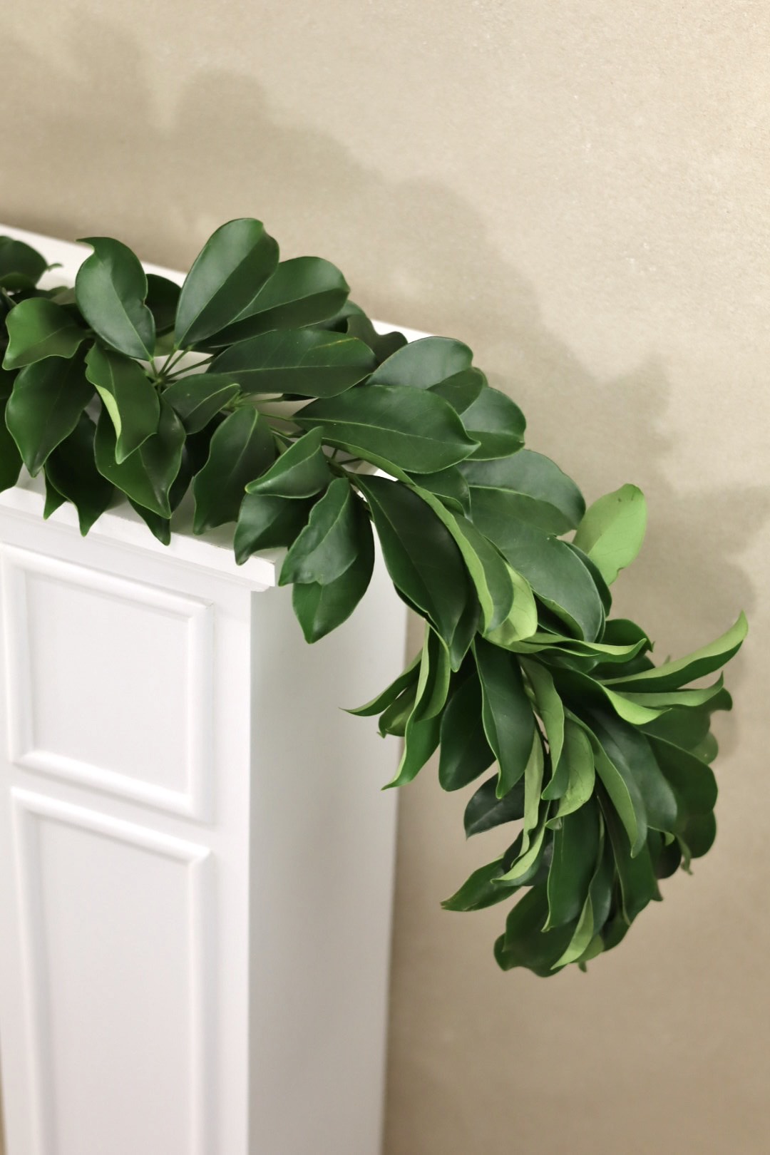 Green Schefflera Garland