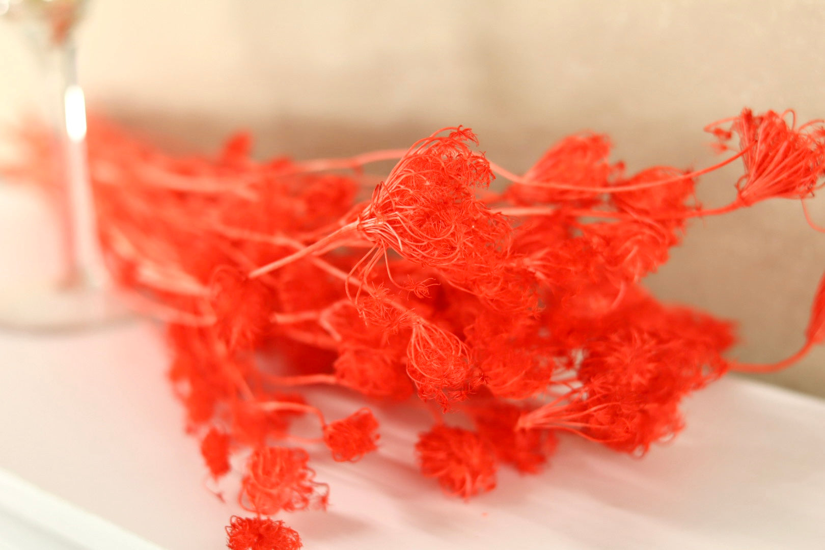 Dried Red Fennel