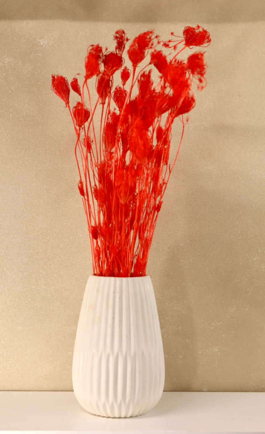 Dried Red Fennel