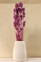 Dried Purple Fennel