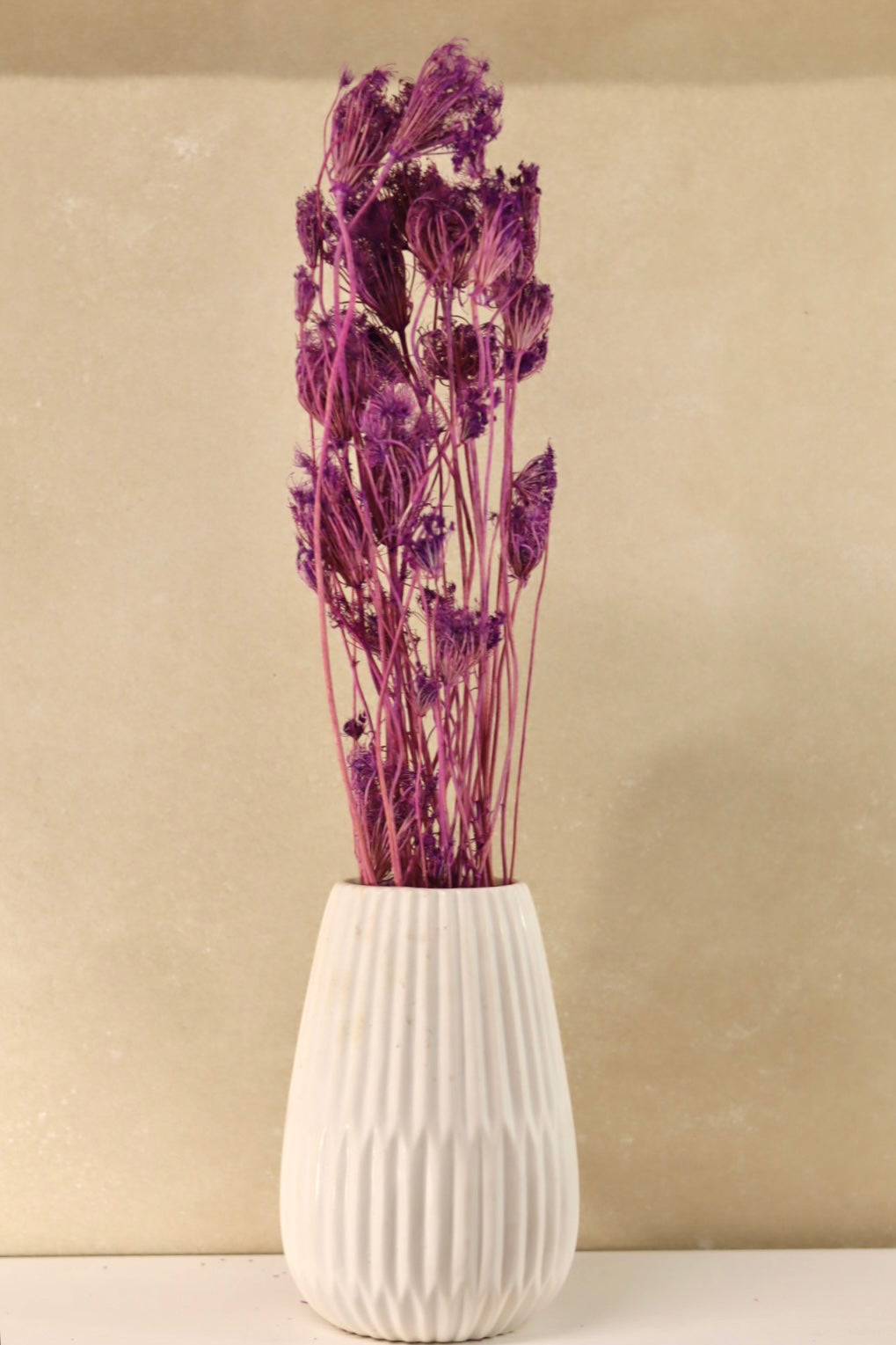 Dried Purple Fennel