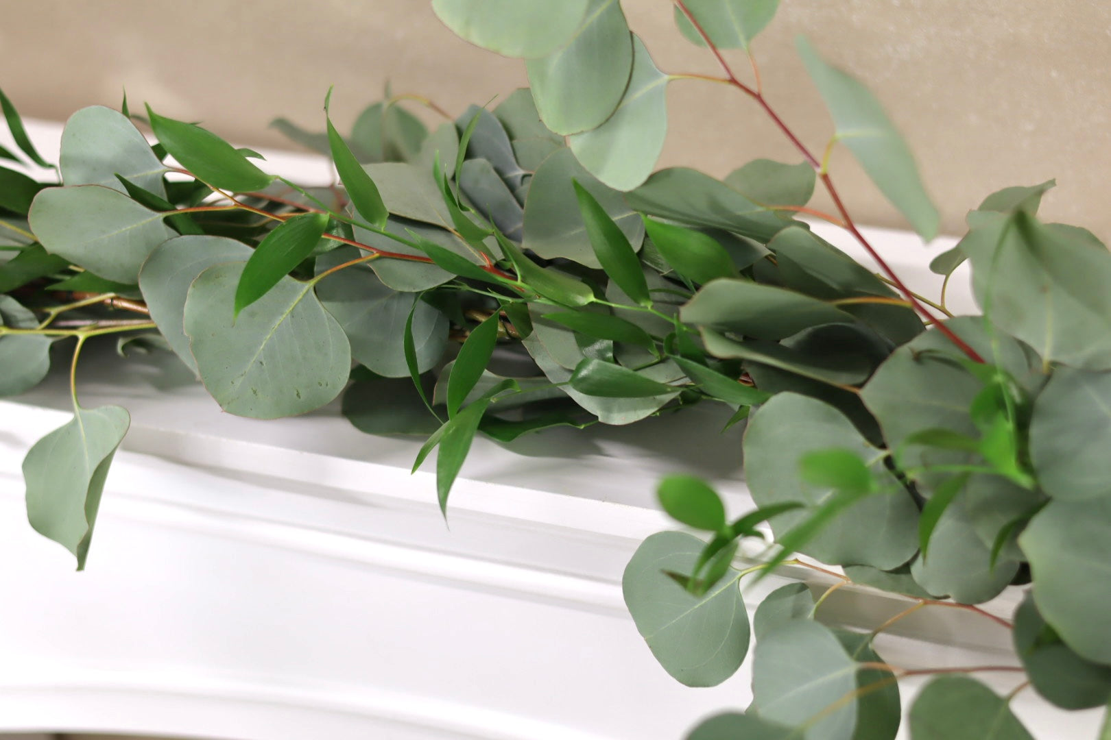 Silver Dollar and Italian Ruscus Garland