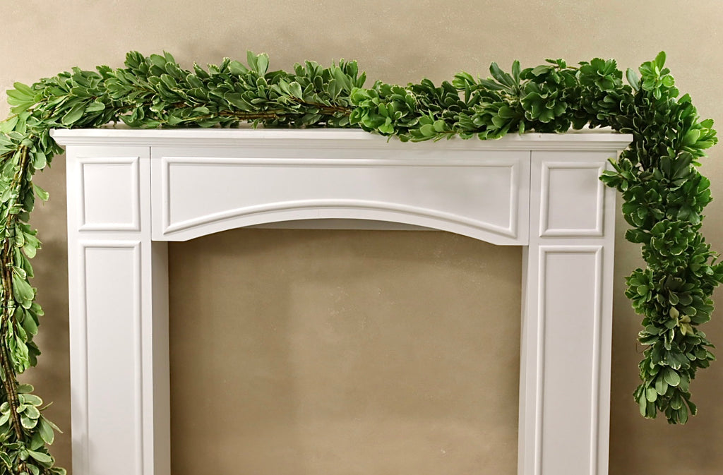 Variegated Pittosporum Garland