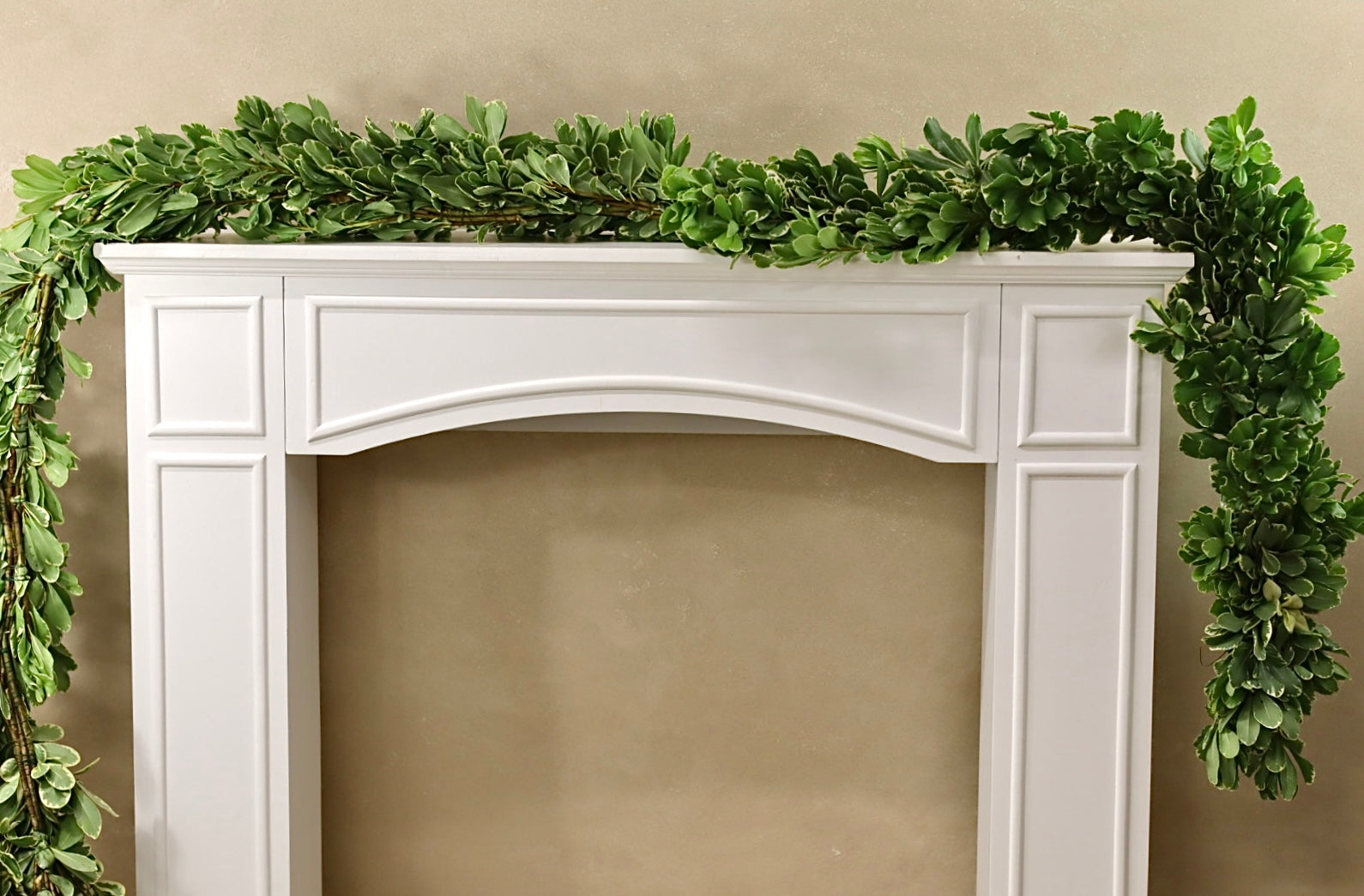 Variegated Pittosporum Garland