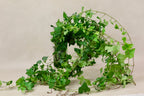 Green Ivy