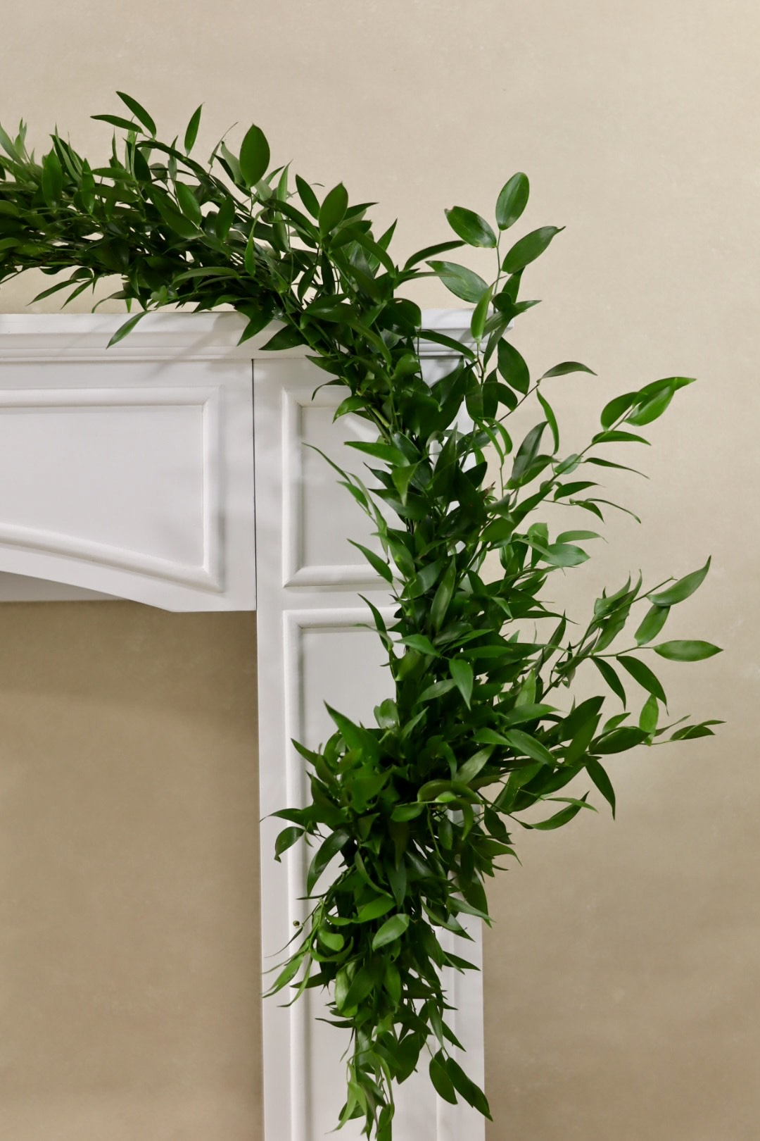 Italian Ruscus Garland