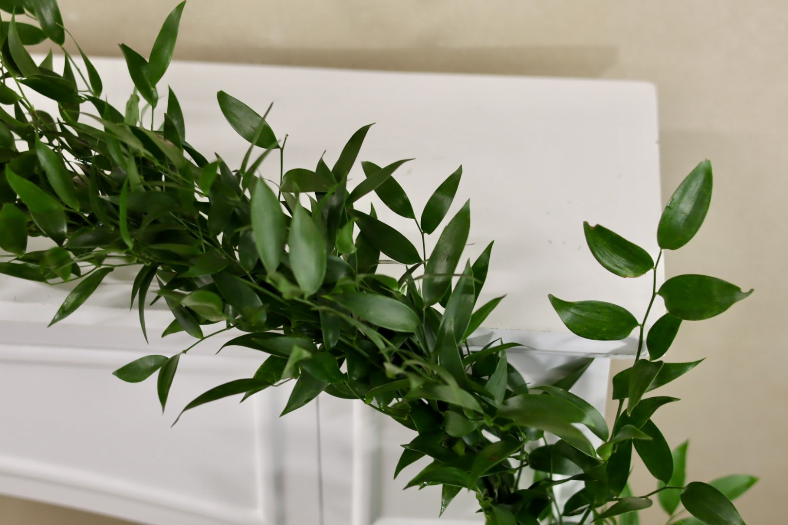Italian Ruscus Garland