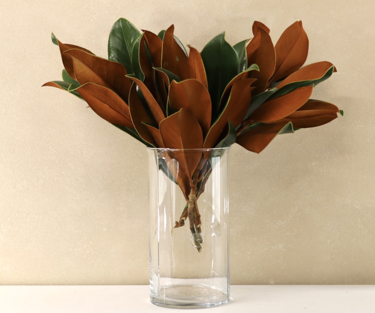 Magnolia Tips