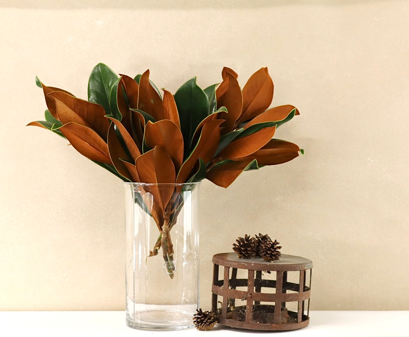 Magnolia Tips