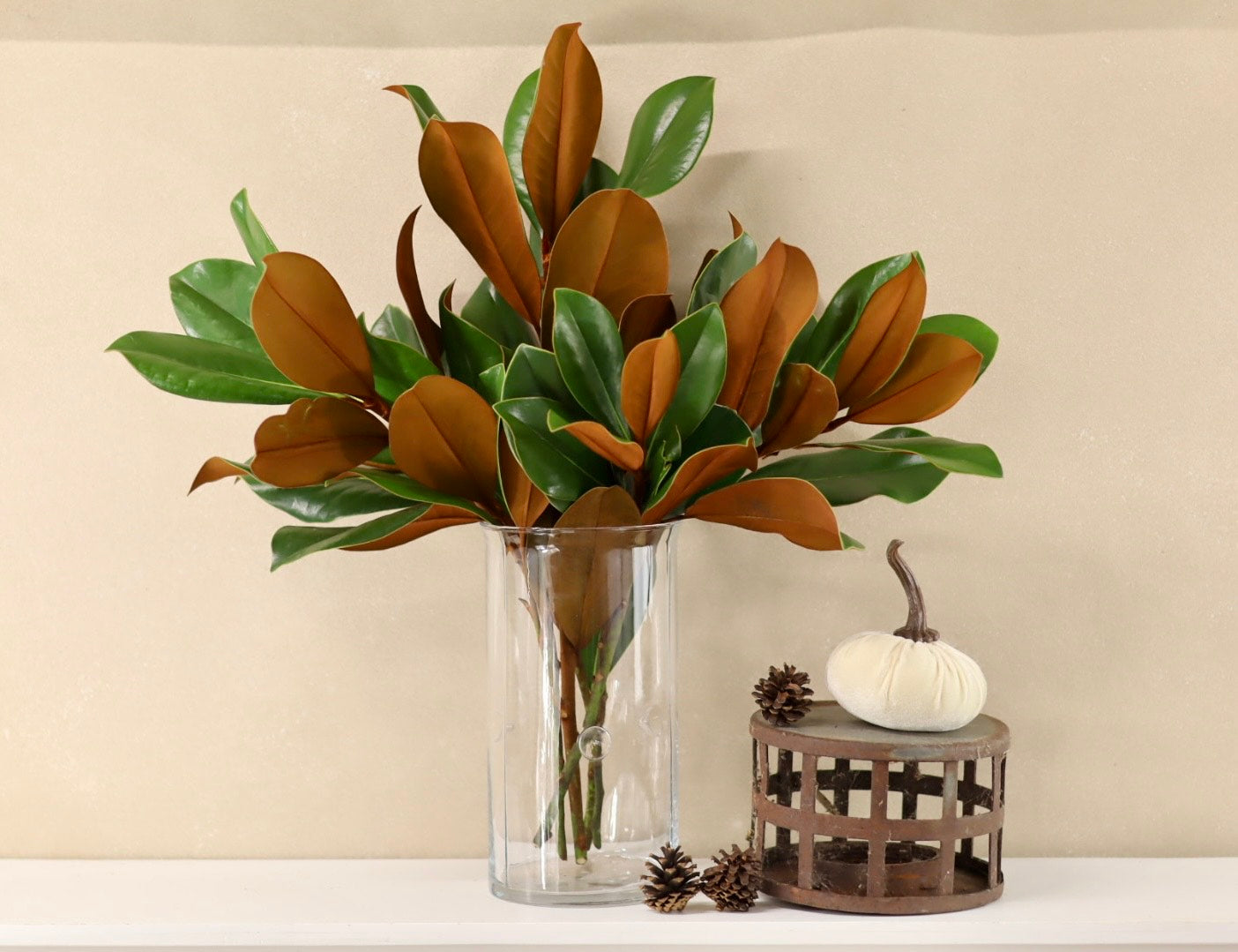 Magnolia