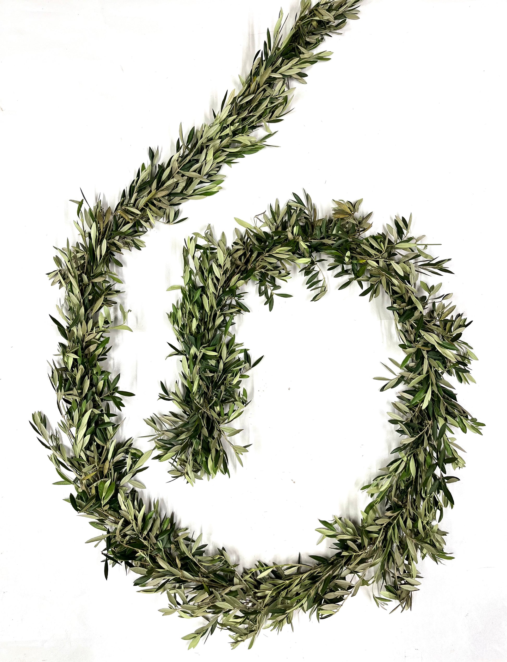 Olive Garland
