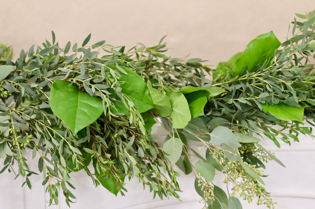 Parvafolia Salal Seeded Eucalyptus Garland