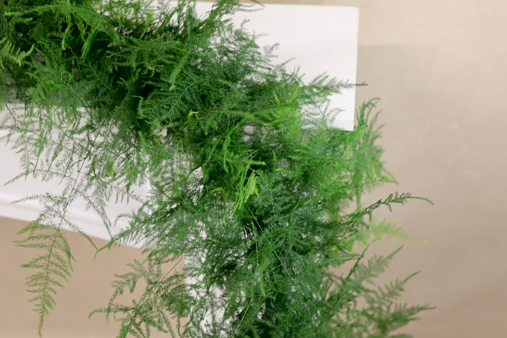 Plumosa Garland