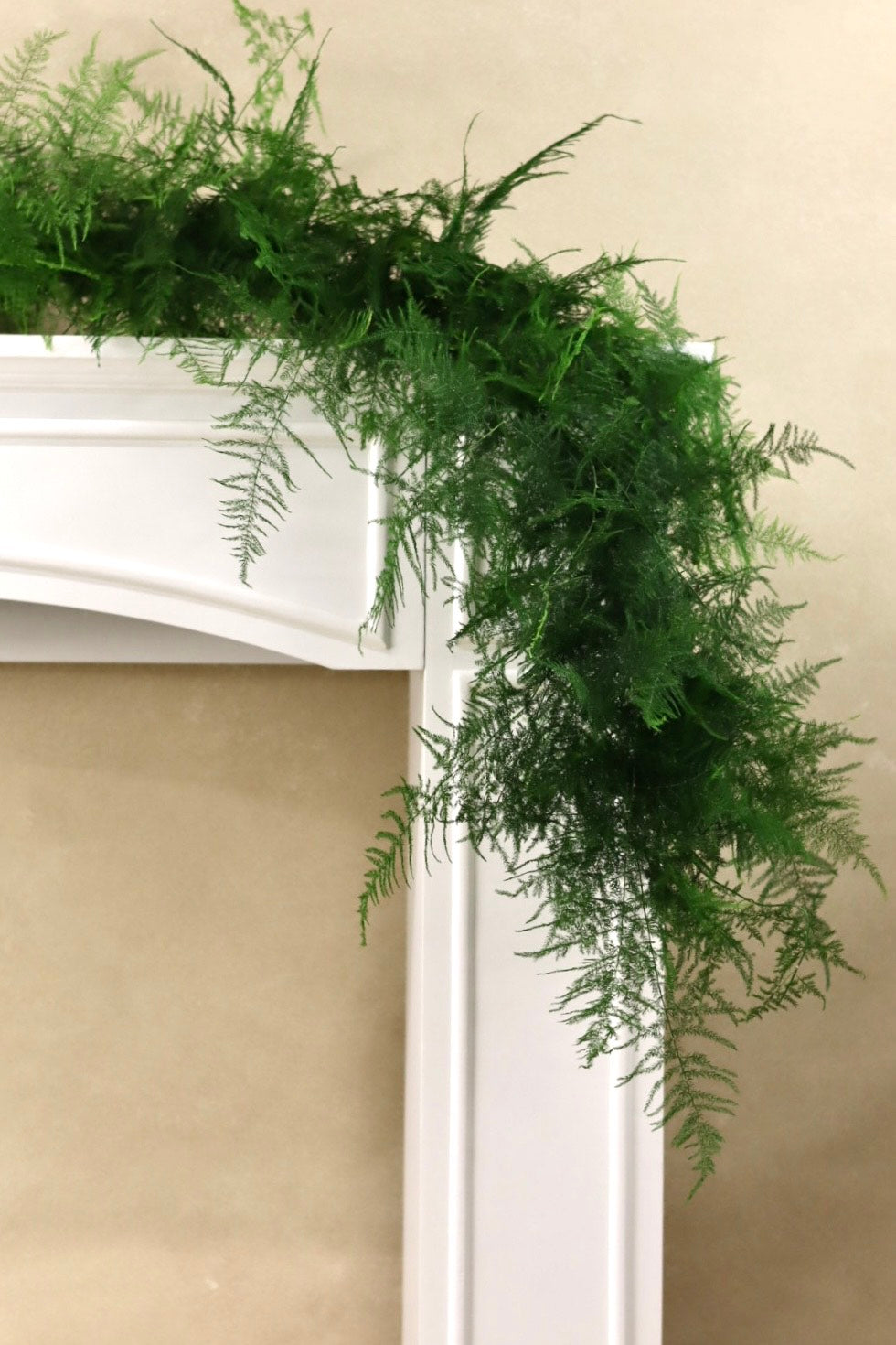 Plumosa Garland