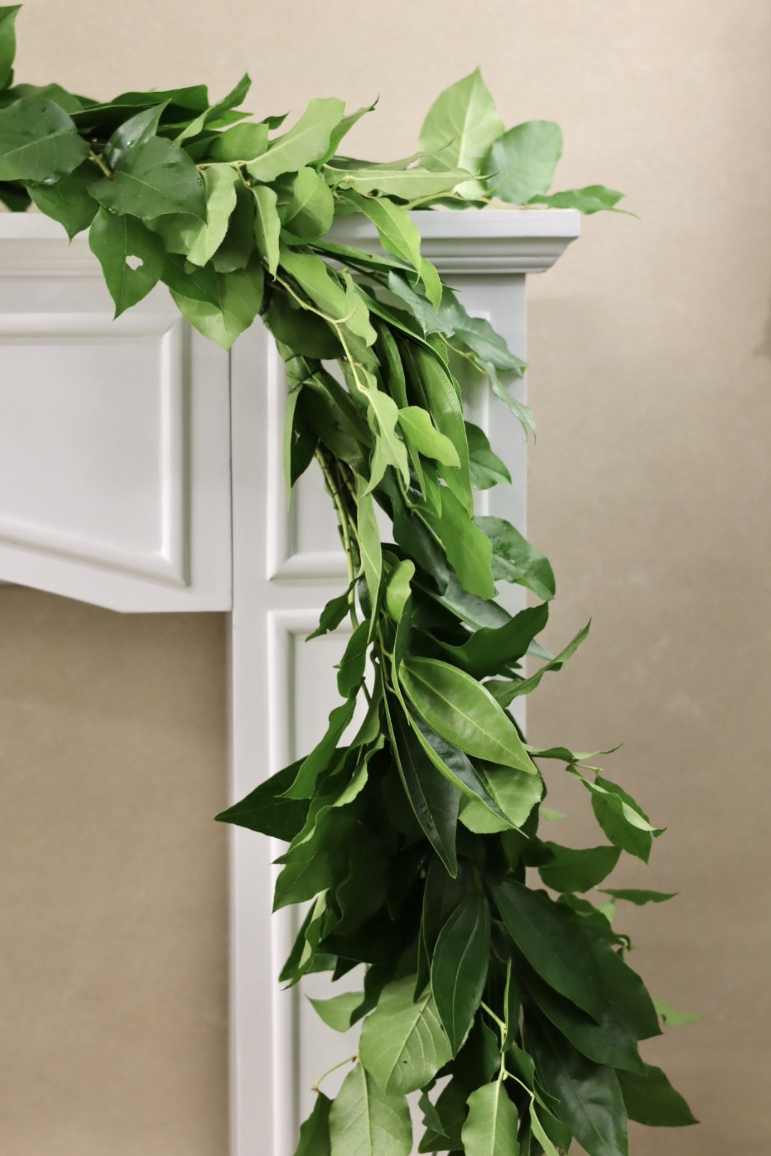 Salal and Cocculus Garland