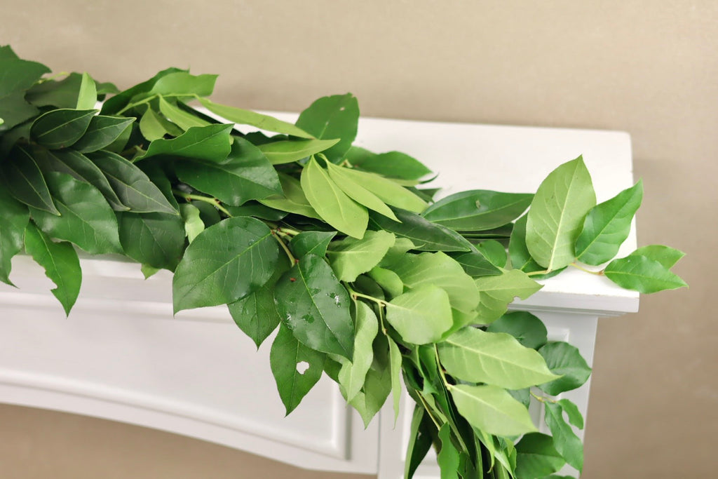 Salal and Cocculus Garland