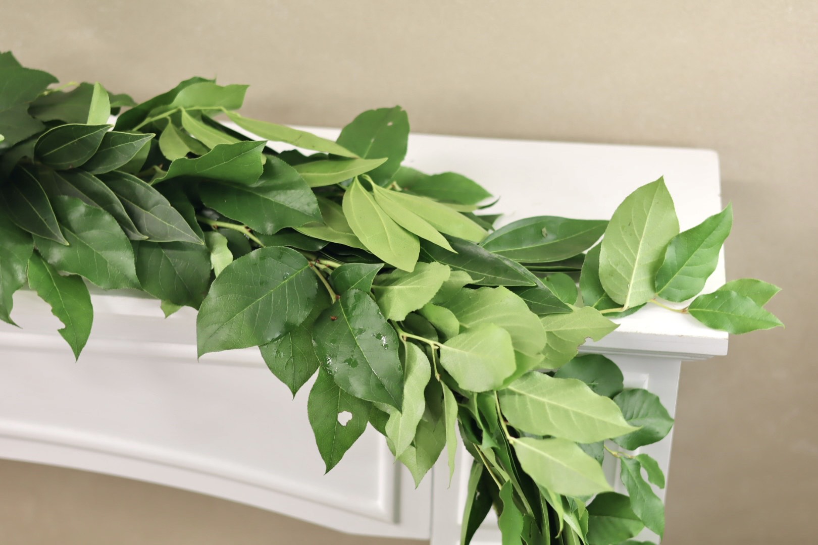 Salal and Cocculus Garland