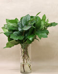 Salal Tips